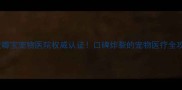 西安嘟宝宠物医院权威认证口碑炸裂的宠物医疗全攻略