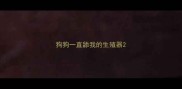 狗狗一直舔我的生殖器