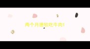 两个月德牧吃牛肉