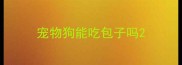 宠物狗能吃包子吗