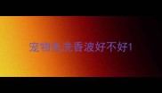 宠物免洗香波好不好