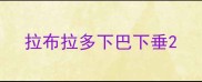 拉布拉多下巴下垂