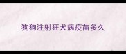 狗狗注射狂犬病疫苗多久