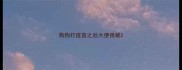狗狗打疫苗之后大便很稀