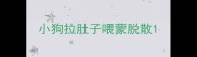 小狗拉肚子喂蒙脱散