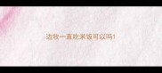 边牧一直吃米饭可以吗