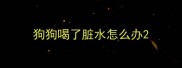 狗狗喝了脏水怎么办