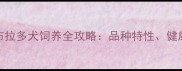 浙江省台州市拉布拉多犬饲养全攻略品种特性健康养护与领养指南
