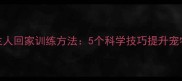 狗狗迎接主人回家训练方法5个科学技巧提升宠物情感交流
