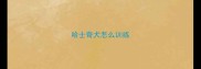 哈士奇犬怎么训练