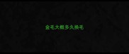 金毛大概多久换毛