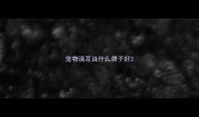 宠物滴耳油什么牌子好
