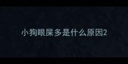 小狗眼屎多是什么原因