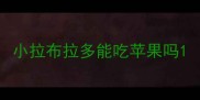 小拉布拉多能吃苹果吗