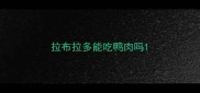 拉布拉多能吃鸭肉吗