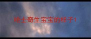 哈士奇生宝宝的样子