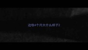 边牧4个月大什么样子