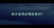丽水宠物店哪家最好