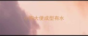 小狗大便成型有水