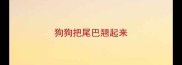 狗狗把尾巴翘起来