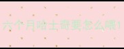 六个月哈士奇要怎么喂