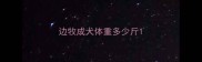 边牧成犬体重多少斤
