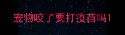 宠物咬了要打疫苗吗