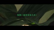 狗狗一般怀孕多久生