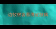 边牧很容易得皮肤病