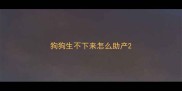 狗狗生不下来怎么助产