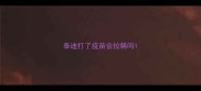 泰迪打了疫苗会拉稀吗