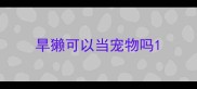 旱獭可以当宠物吗