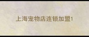 上海宠物店连锁加盟