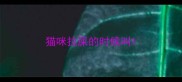猫咪拉屎的时候叫