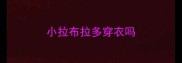小拉布拉多穿衣吗