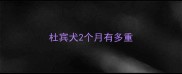 杜宾犬2个月有多重