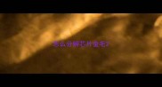 怎么分辨芯片金毛