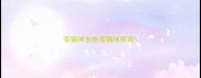 带猫咪去绝育猫咪抓我