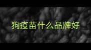 狗疫苗什么品牌好