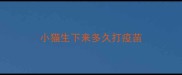 小猫生下来多久打疫苗