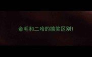 金毛和二哈的搞笑区别