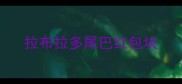 拉布拉多尾巴红包块
