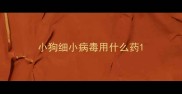 小狗细小病毒用什么药