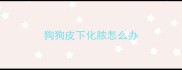 狗狗皮下化脓怎么办
