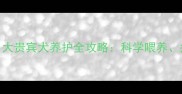 新手必看4个月大贵宾犬养护全攻略科学喂养疫苗与训练技巧