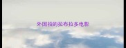 外国拍的拉布拉多电影