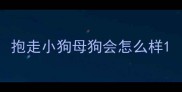 抱走小狗母狗会怎么样