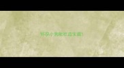 怀孕小狗能吃益生菌