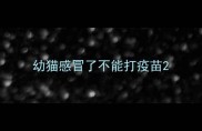 幼猫感冒了不能打疫苗