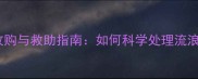 宠物医院收购与救助指南如何科学处理流浪狗问题